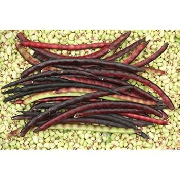 Pinkeye Purplehull Coronet 1LB Pack