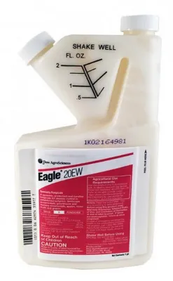 Eagle 20EW Pint