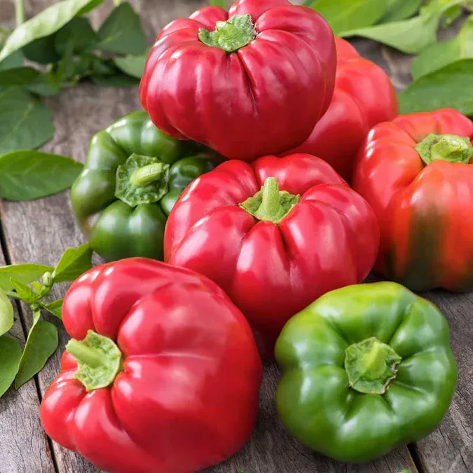 California Wonder Sweet Pepper 1/16 oz