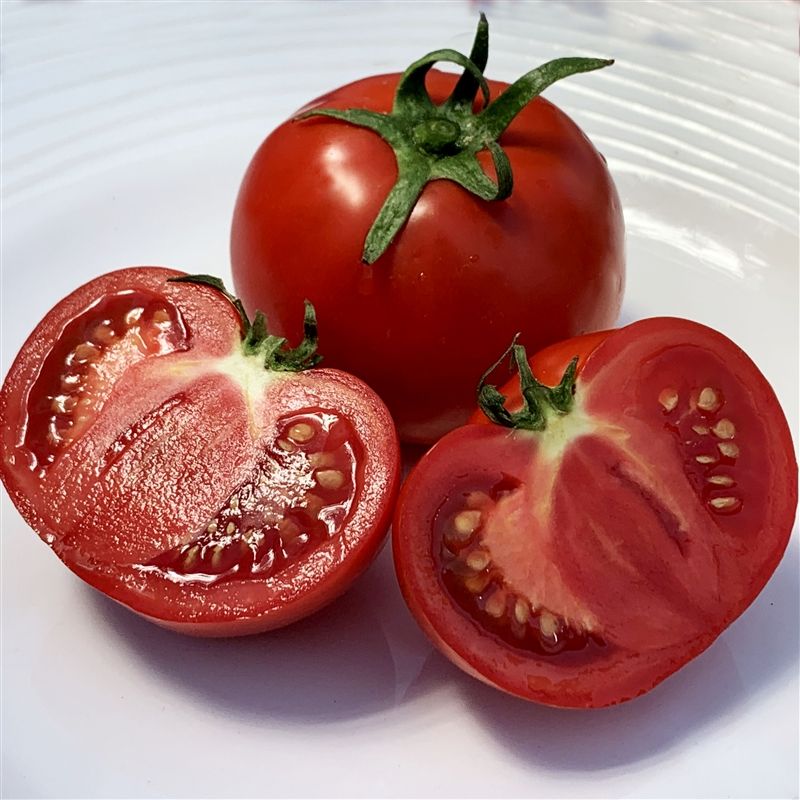 Atkinson Tomato 1/16 oz