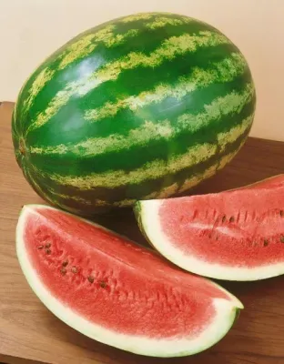 Crimson sweet Watermelon 1/4oz