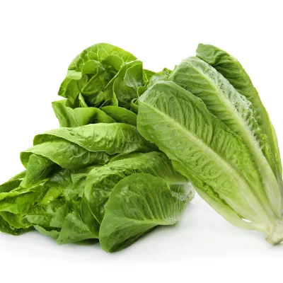 Paris Romaine Lettuce 1/4oz Pack