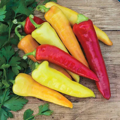 Sweet Banana Pepper 1/16oz