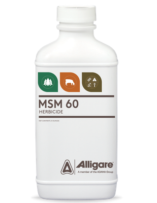 Alligare Msm 60 16 oz bottle
