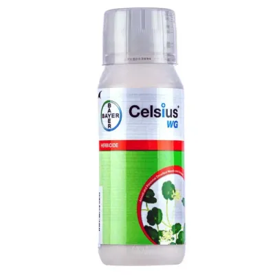 Bayer Celsius 10oz