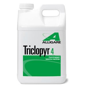 Triclopyr 4 Selective Herbicide Post-Emergent 1 Gal