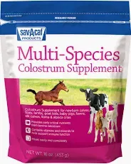 Milk Products Sav-A-Caf Multi-Species Colostrum Supplement 16oz