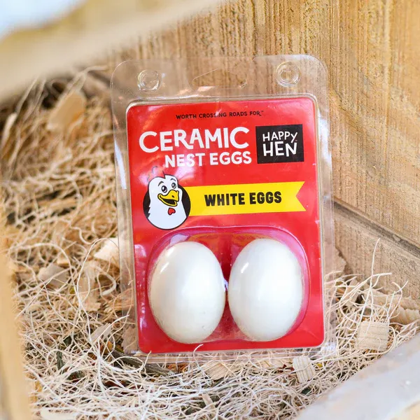 Little Giant Ceramic Nest Eggs (White) 2 Pack Artificial Eggs to Encourage Egg Production (Item No. CeggwHT