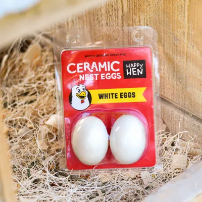 Little Giant Ceramic Nest Eggs (White) 2 Pack Artificial Eggs to Encourage Egg Production (Item No. CeggwHT