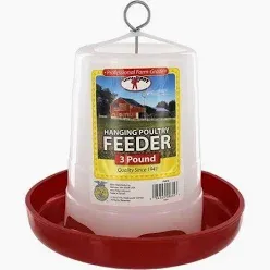 Little Giant Hanging Poultry Feeder, 3 lb Capacity