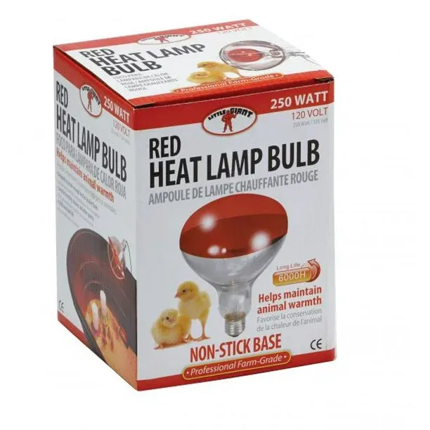 Miller Little Giant Brooder Heat Lamp Bulb
