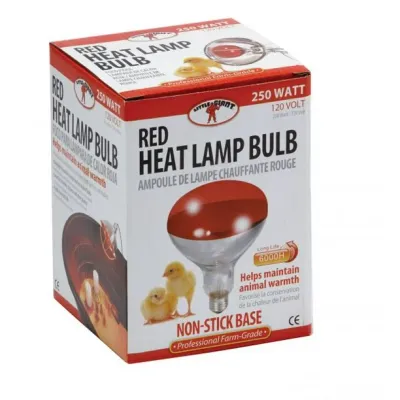 Miller Little Giant Brooder Heat Lamp Bulb
