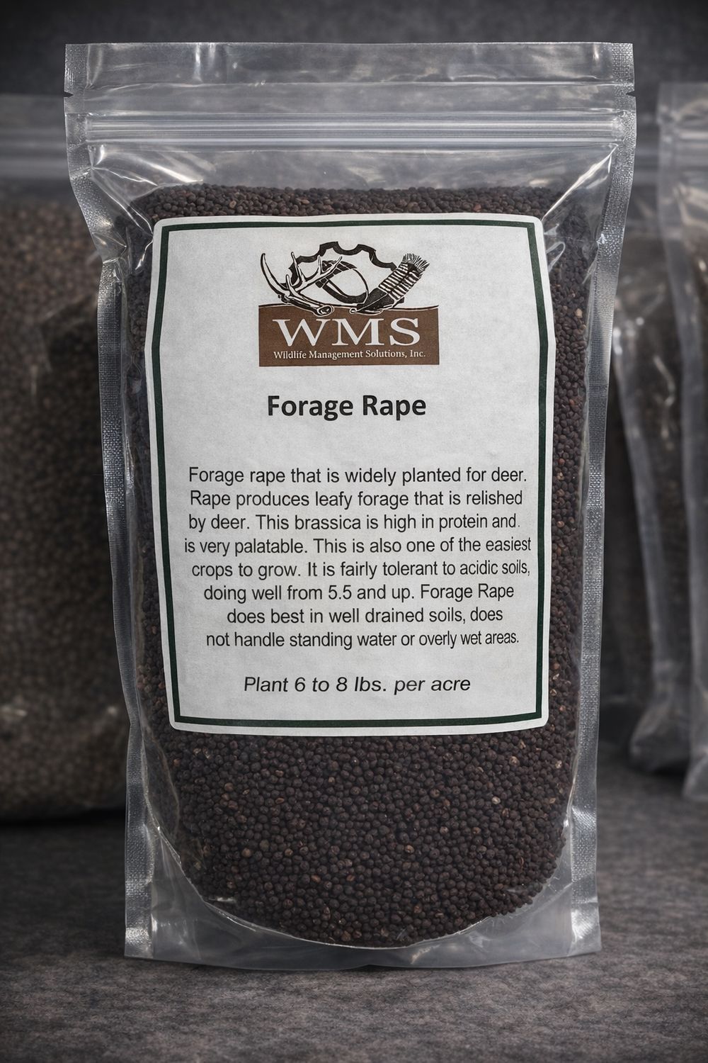WMS Forage Rape 3lb