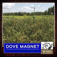 WMS Dove Magnet 25 lb Bag