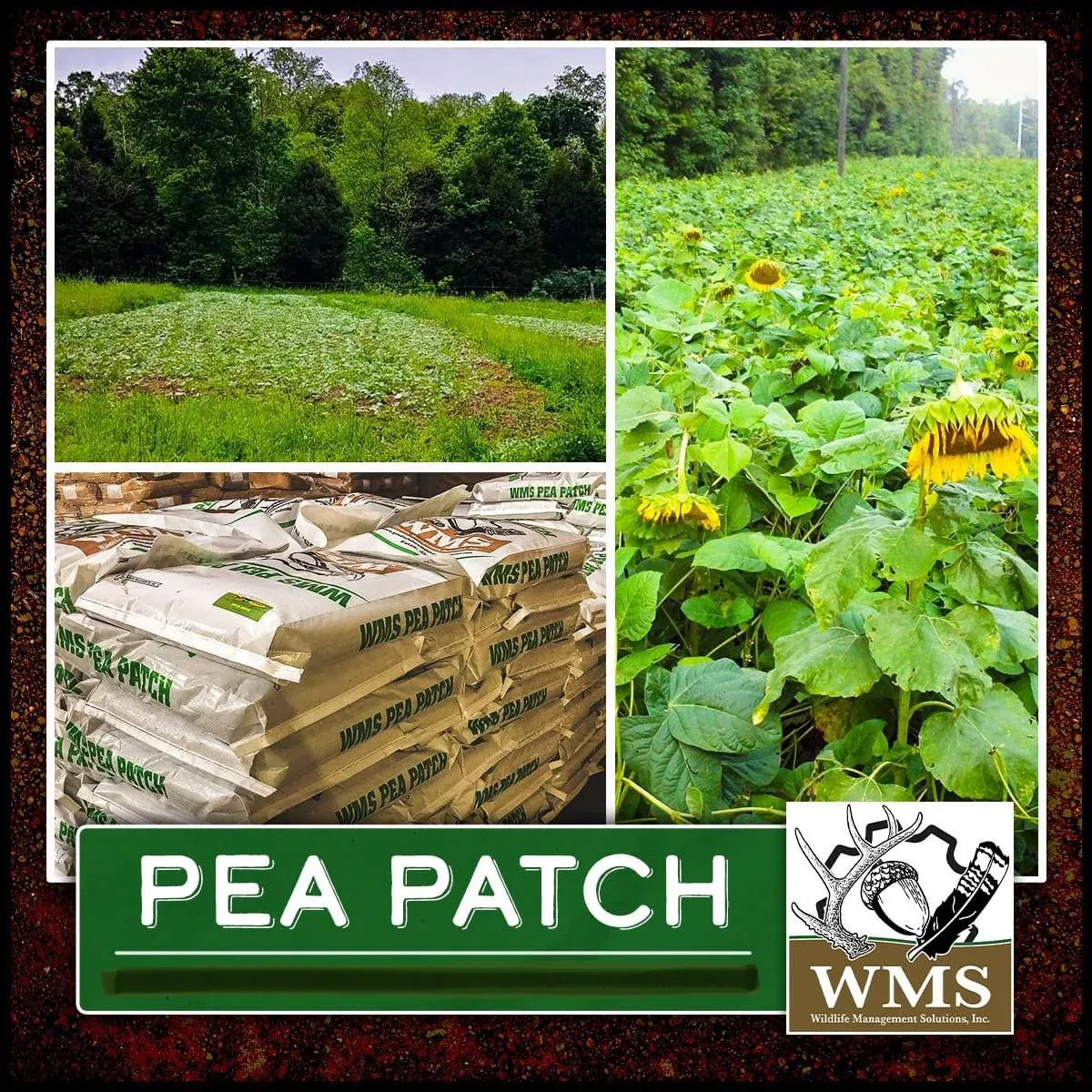 WMS Pea Patch Summer Blend 40 lb Bag