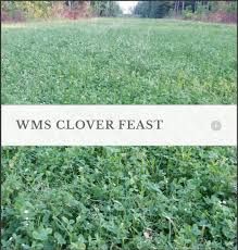 WMS Clover Feast (annual clover blend), Size: 10lb