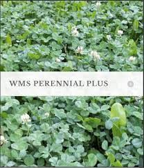 WMS Perennial Plus, Size: 9lb