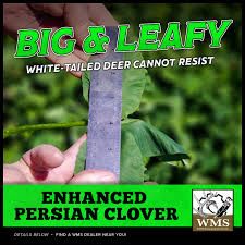WMS eNhance Persian Clover 3lb Bag