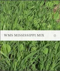 WMS Mississippi Blend, Quantity: Per Bag Price (Less Than 40 Bags)