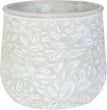 5.5 in. Springtime Planter