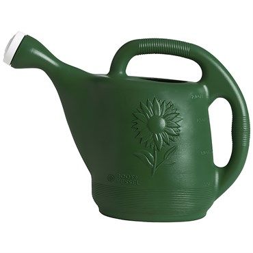 2 Gallon Novelty Classic Plastic Watering Can, Green