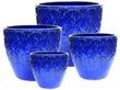 12 in. Bondi Pitr - FW Blue