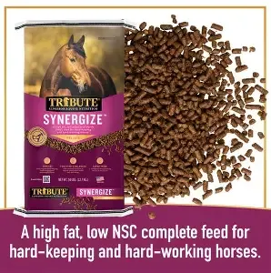 Tribute Synergize horse Feed
