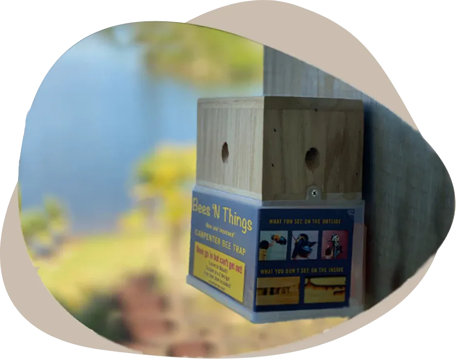 Bees N Things Outdoor Carpenter Bee Trap