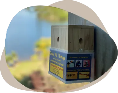Bees N Things Outdoor Carpenter Bee Trap