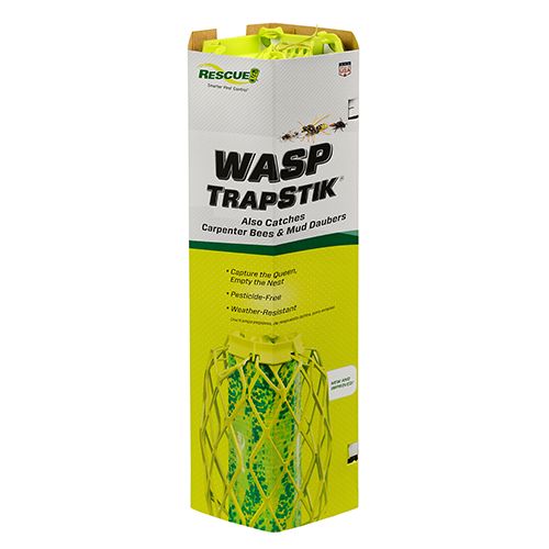 Rescue! Trapstik for Wasps, Mud Daubers