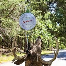 Moultrie 550 lb. Game Scale