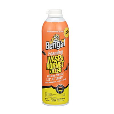 Foaming Wasp &amp; Hornet Killer - 16 oz