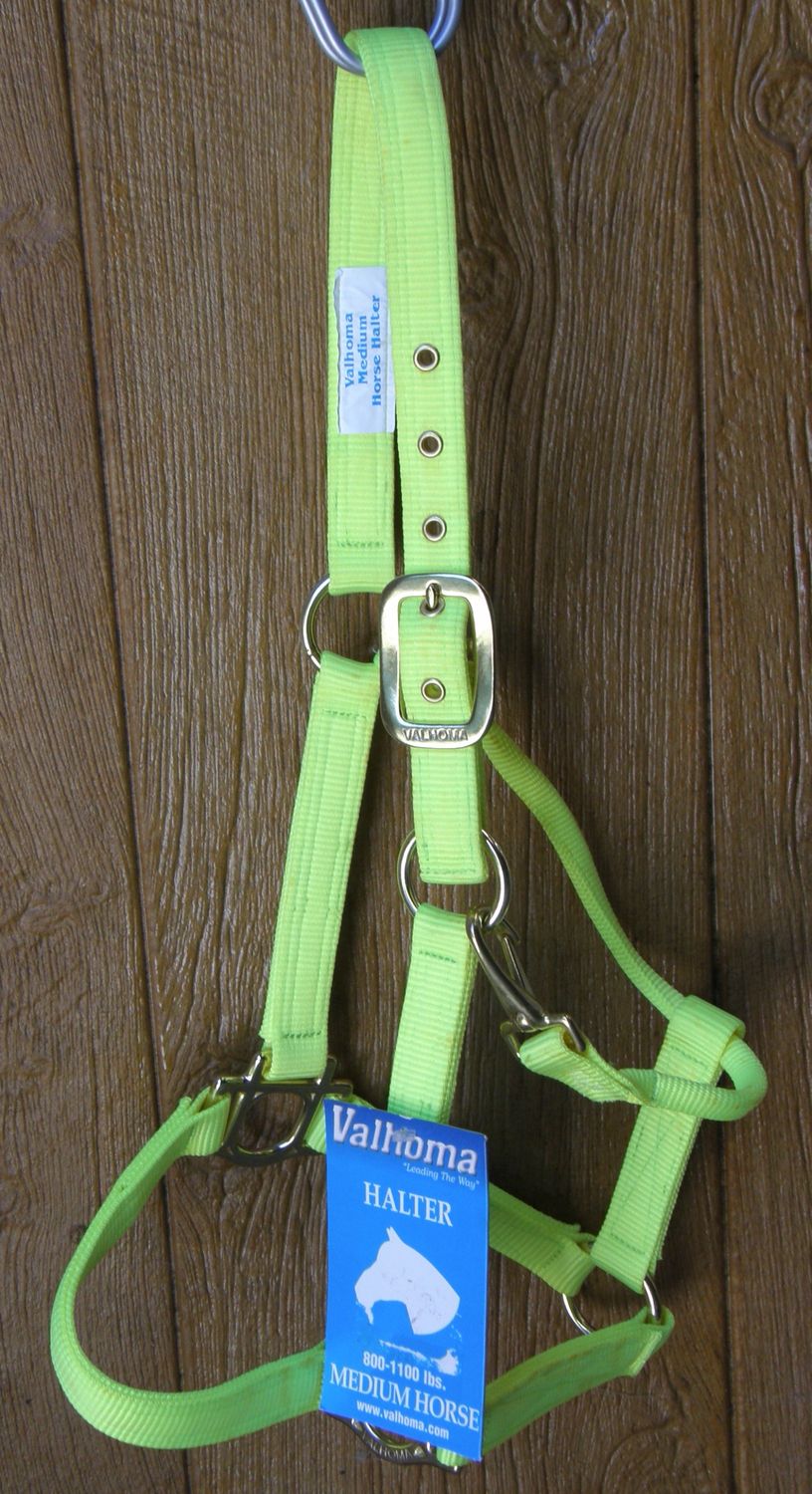 Medium Lime Green Horse Halter