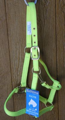 Medium Lime Green Horse Halter