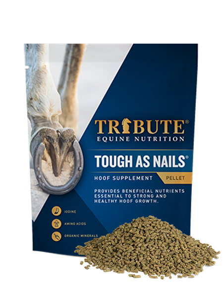 Tribute 11 lb Tough as Nails