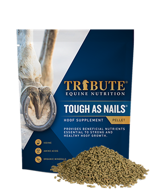Tribute 11 lb Tough as Nails