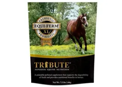 Tribute Kalmbach Feeds Equiferm XL Prebiotic and Probiotic