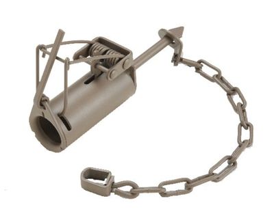 Duke Dog Proof Coon Trap Traps Trapping