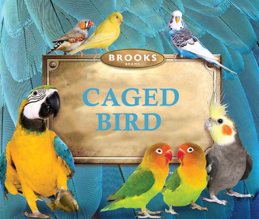 All Natural Caged Bird Parrot Blend 40lb Brooks Bird Feeds Blend