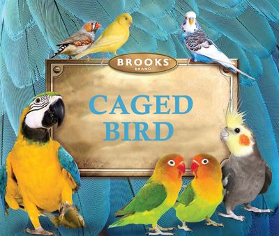 All Natural Caged Bird Parrot Blend 40lb Brooks Bird Feeds Blend