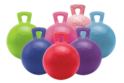 Horsemen S Pride 10" Jolly Ball Purple