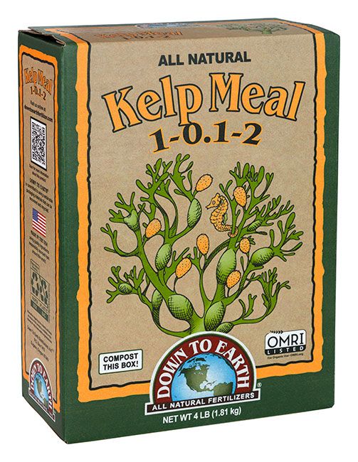 Down To Earth Kelp Meal 4lb