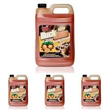 Buck Jam Wild Persimmon Instant Mineral Lick 1gal