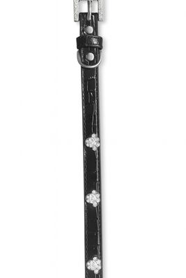 Glitzy Pet Collar