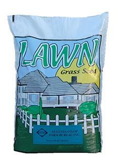 10lb Bag Ryegrass