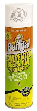 Bengal 97199 Carpenter Bee And Ant Killer, Spray Application, 16 Oz
