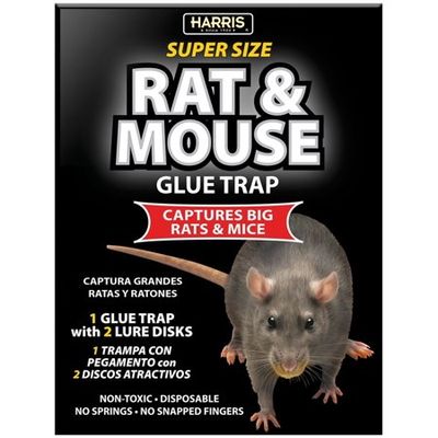 Harris Super-Size Rat and Mouse Glue Trap with Lure  1 Trap