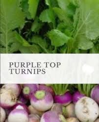 WMS Purple Top Turnip 3lb