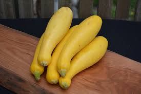 Straight Neck Early Prolific Squash