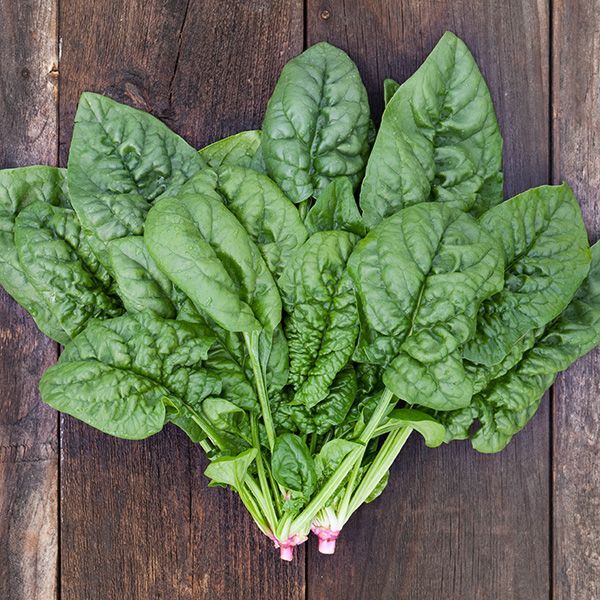 Bloomsdale Spinach 1/2 oz pack